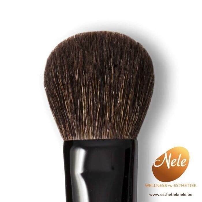 Mineralogie Minerale Make-up Deluxe Brush Wellness Esthetiek Nele