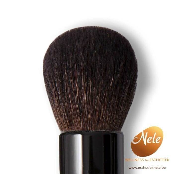 Mineralogie Minerale Make-up Dome Brush Wellness Esthetiek Nele